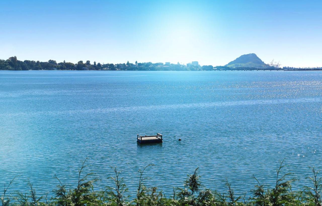 Apartment Near The Water Tauranga Exteriör bild